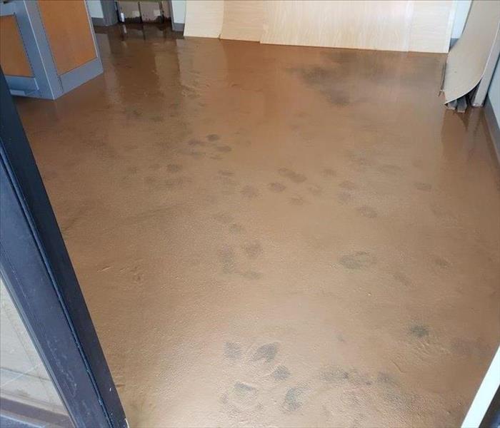 Office floor covered in dirt after a flood